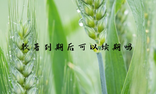 软著到期后可以续期吗