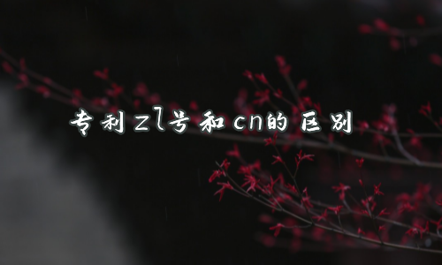 专利zl号和cn的区别