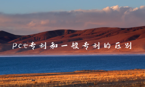 pct专利和一般专利的区别