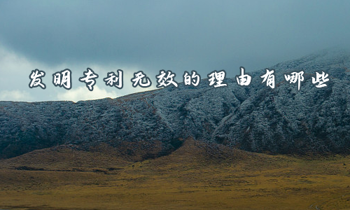发明专利无效的理由有哪些