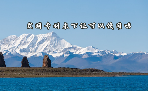 发明专利未下证可以使用吗