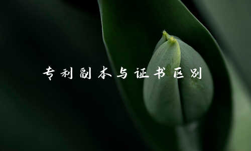 专利副本与证书区别