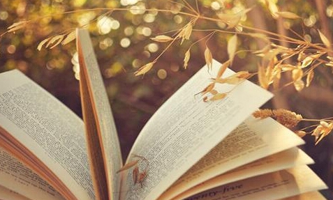 光明日报出版社教材通知