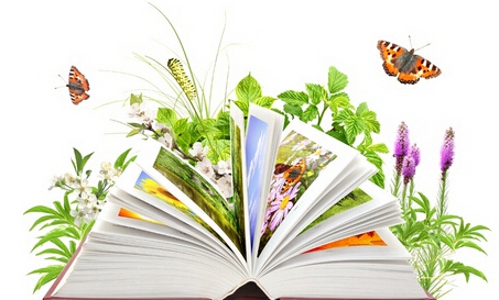 北理工出版社最新教材著作申报