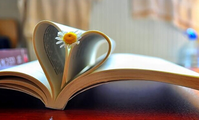 评职称专用自费出书申报