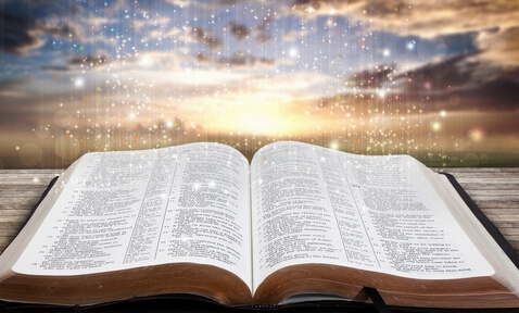 副主编在哪里能查询