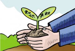 什么是知识产权