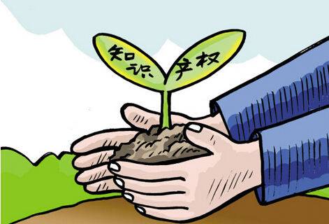 什么是知识产权