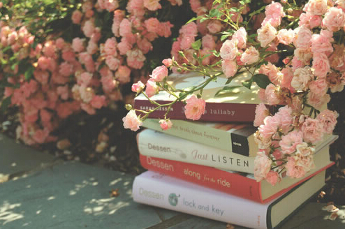 大学教材寻主编副主编申报