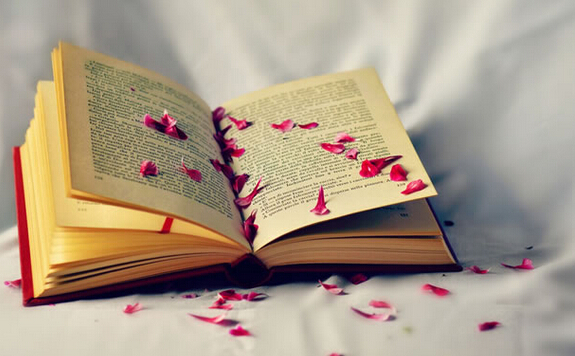 十三五规划教材申报