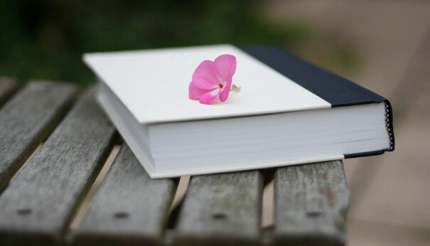 大学教育教材申报征集主编副主编