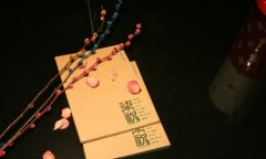 个人写了书怎样才能出版