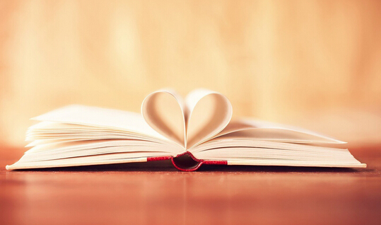 申报正高级教师需要的教材申报有哪些