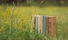 东北师范大学出版社教材申报通知