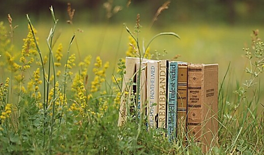 东北师范大学出版社教材申报通知