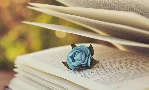 教育部重点出版社计算机教材征集主编