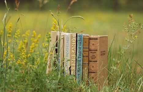 小学一级教师职称教材申报有哪些