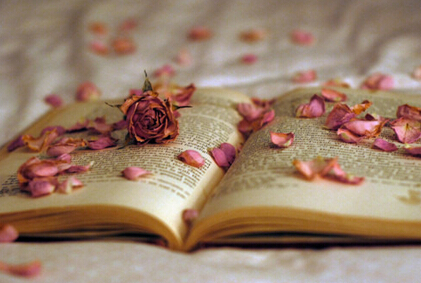 高校医学教材申报征集主编副主编