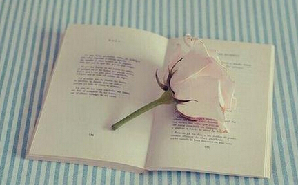 高级讲师职称评定出版教材申报征集主编