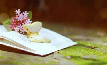 河北高中教师评职称教材申报有哪些