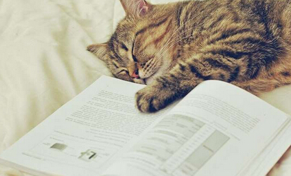 十三五高校教材主编副主编申报还有位置吗