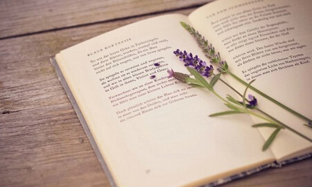 教师评职称的教材申报征集列表