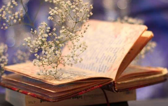 2017计划出版教材申报可评职称加分