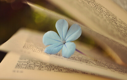 十三五高校教材征集第一主编和第二主编