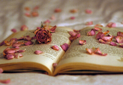 高校电子类教材申报评高级教师教材申报