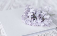 中小学教师评职称教材申报有多少