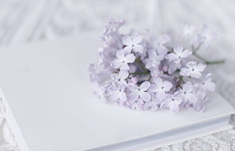 中小学教师评职称教材申报有多少