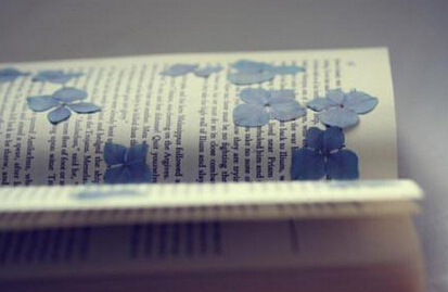 大学教材申报申报主编书目更新