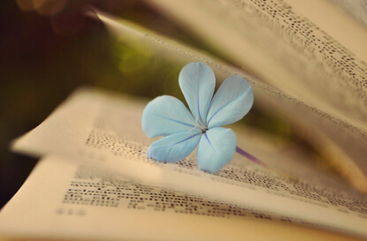 2017教育类教材申报火热征集开始