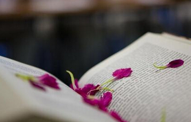 中小学教师评职称教材申报有哪些