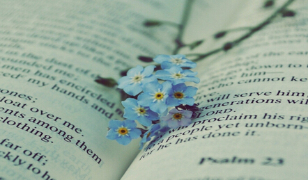 4-6月出书的教材申报2017第一批书号