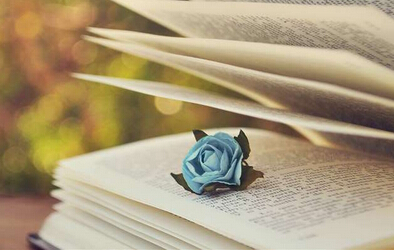 高校教材申报教育教材申报有哪些