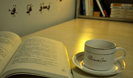 英语教材主编副主编申报署名