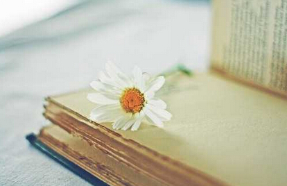 图书馆职称评定,教材申报