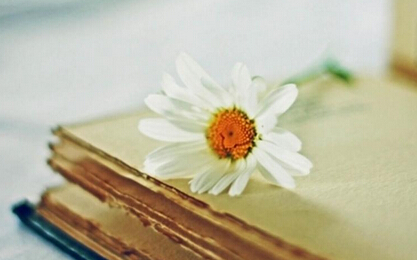 大学教材申报教材申报资源特价出版