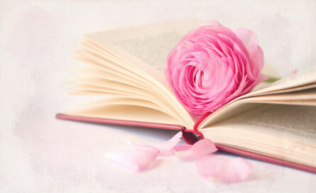 档案学教材申报主编副主编