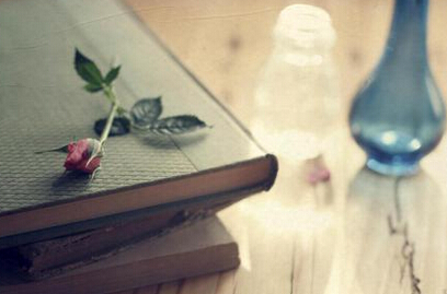 个人出书教材申报征集主编副主编