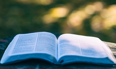 2017地理教材征集主编副主编