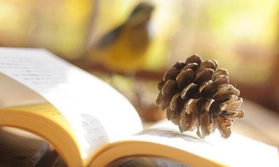 山东省高校评讲师职称有哪些教材可以申报