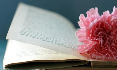 高校副教授评职称出教材申报资源