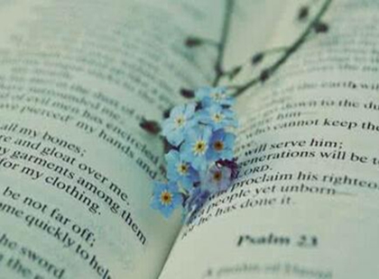 北京工业大学出版社教材申报