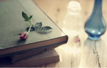 英语教师评职称教材申报副主编