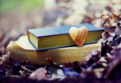 英语专业教材征集主编副主编