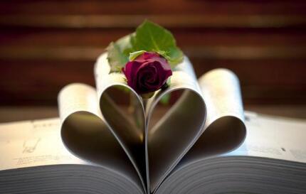 中学教师,参编申报出书,征集参编