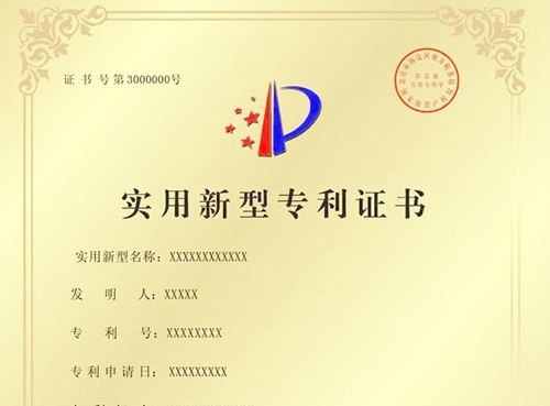 专利优先权,种类