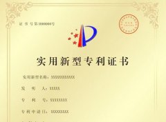 发明专利和实用新型专利号的区别